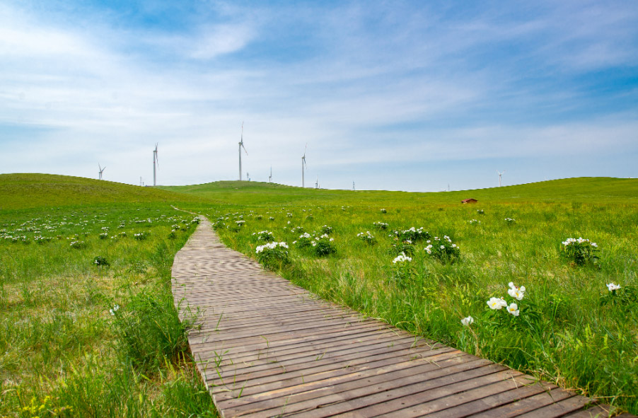 綠氫時代 大有可為2.jpg