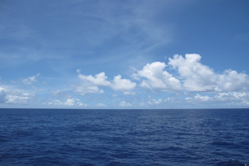 中佛羅里達(dá)大學(xué)：利用新型納米材料從海水中生產(chǎn)氫燃料成為可能