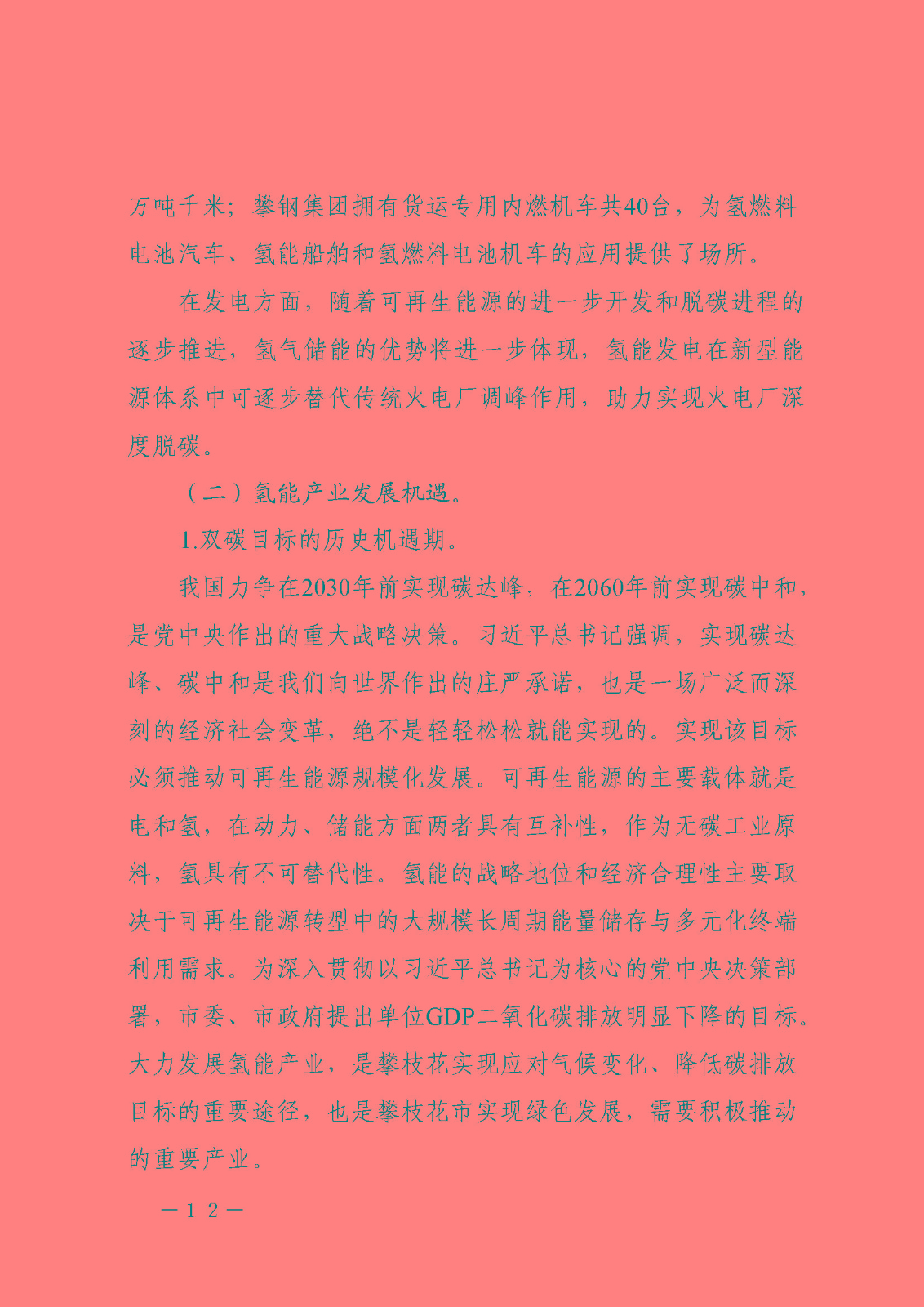 攀枝花市氫能產(chǎn)業(yè)示范城市發(fā)展規(guī)劃(2021-2030年)_頁面_12.jpg
