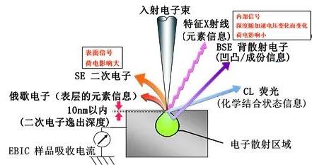 圖2入射電子束在樣品中激發(fā)出的各種信號(hào).jpg